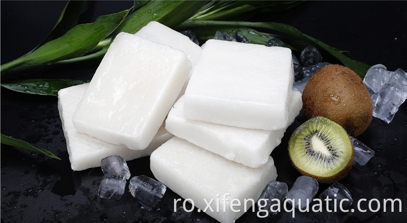 Bloc de calmar Squid Block